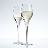 Фото Комплект келихів для шампанського Schott Zwiesel Finesse 297 мл 6 шт
